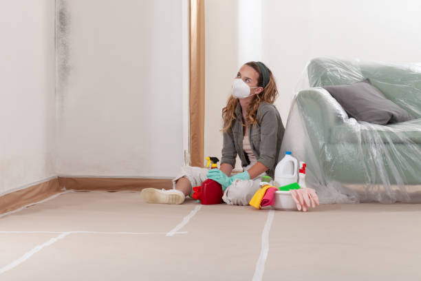Reliable Black Mold Removal contractor in Little Elm, TX by WQB Mold Removal